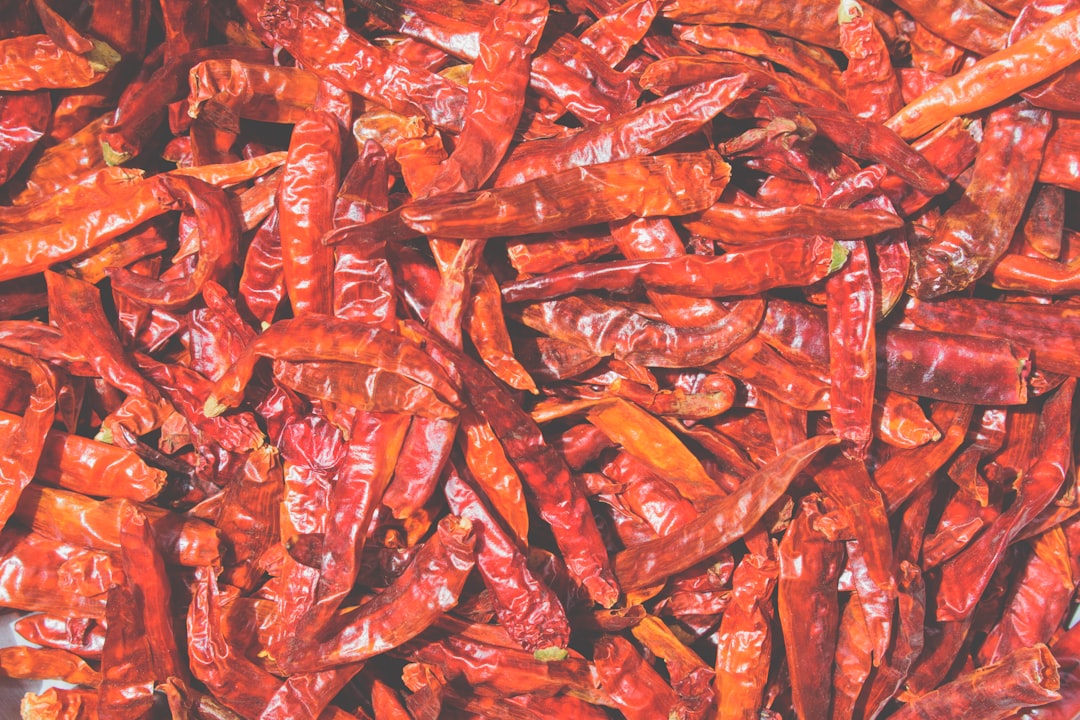 Dried Mexican chilies used in salsa macha — Flavor Index Lab