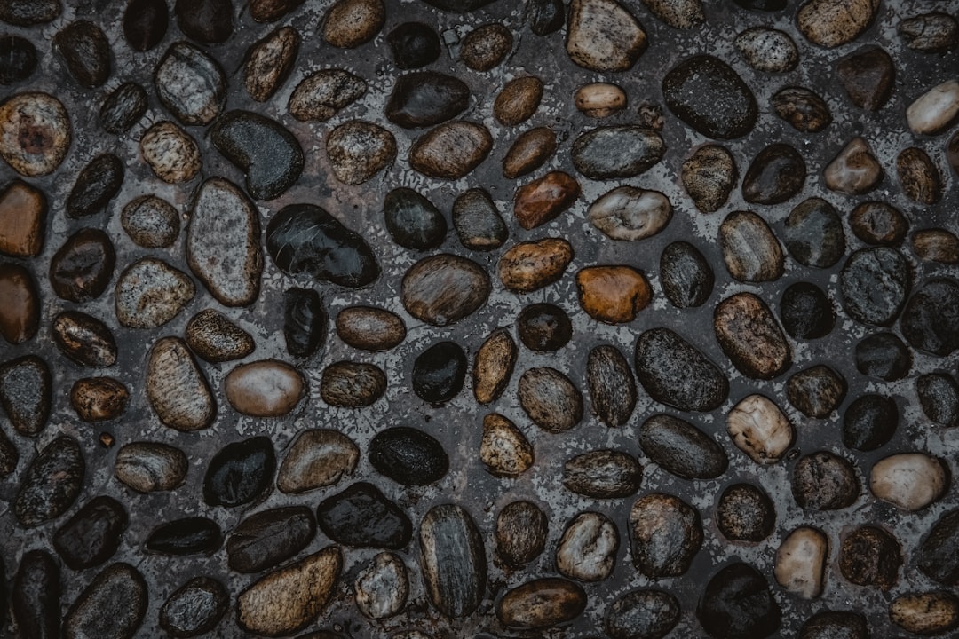 Fermented black beans (douchi) used in chili crisp — Flavor Index Lab