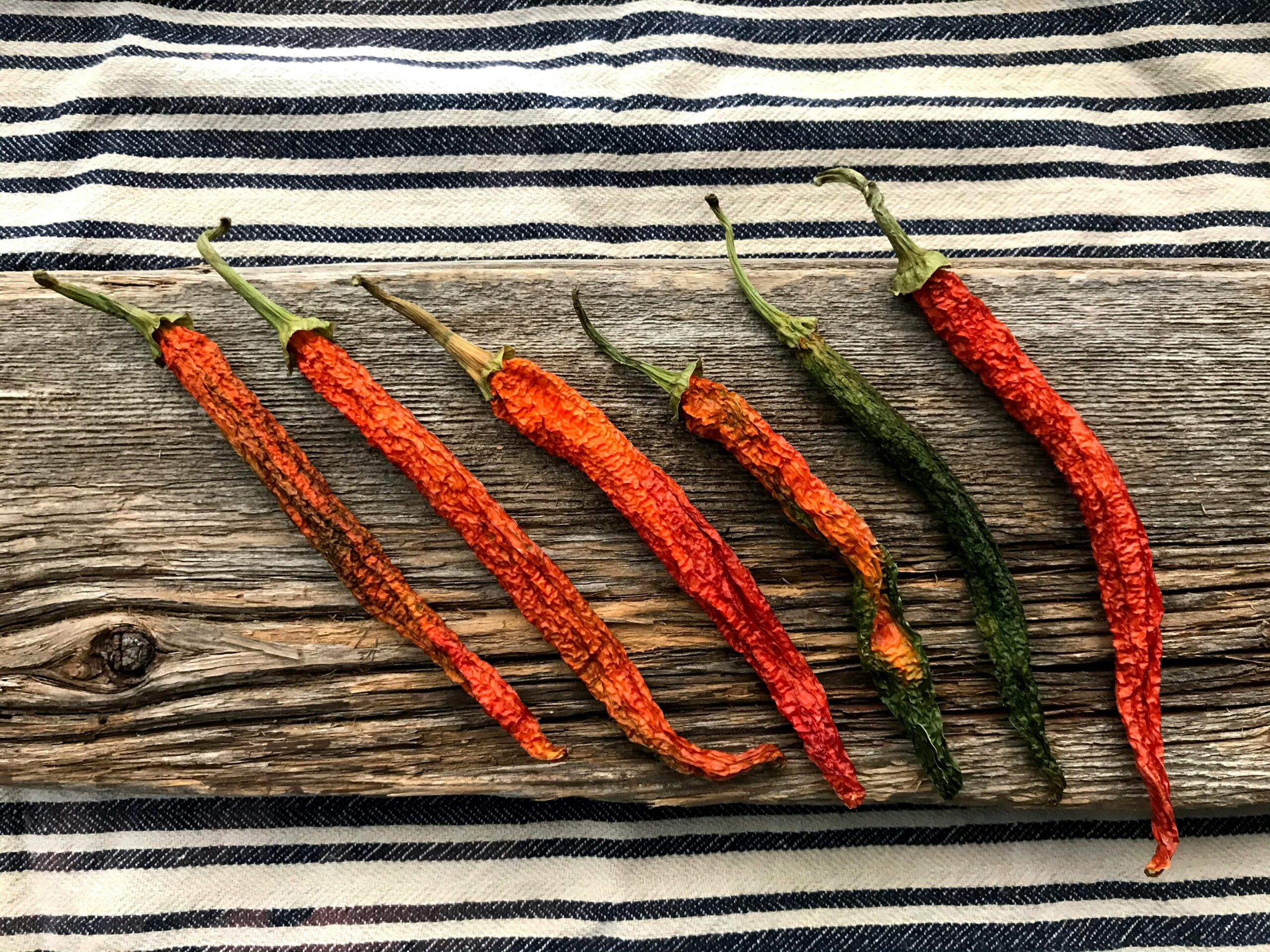 Dried Mexican chili varieties used in salsa macha — Flavor Index Lab