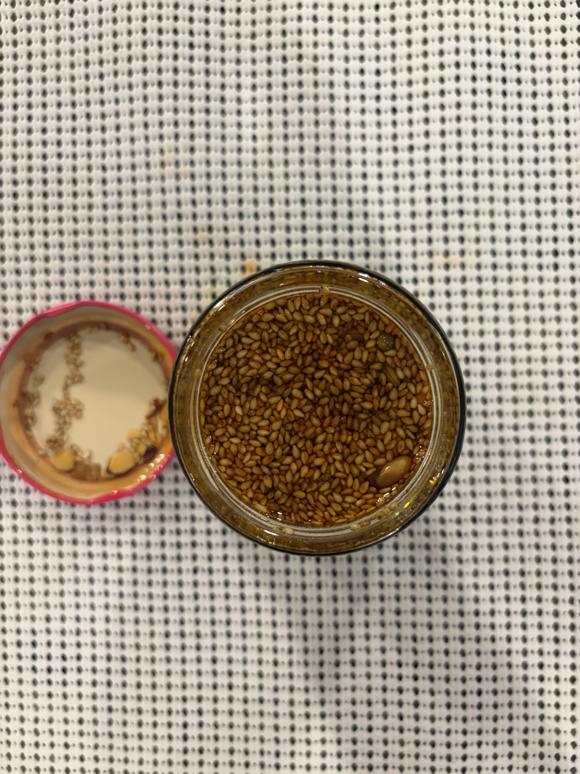 SOMOS chili crisp review open jar showing dense seeds and oil — Flavor Index Lab